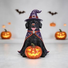 Halloween Black Labrador Retriever Dog Statue, Large Sitting Dog Figurine with Witch Hat & Cape, LED Light Up Jack-O-Lantern Pumpkin (Option: Black+Orange,Purple)