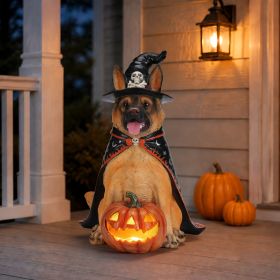 Halloween German Shepherd Dog Statue, Large Sitting Dog Figurine with Witch Hat & Cape, LED Light Up Jack-O-Lantern Pumpkin (Option: Yellow+Black)