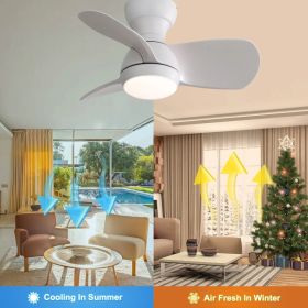 23 Inch Indoor Ceiling Fan With 3 Color Dimmable 3 ABS Blades Remote Control Reversible DC Motor White With 18W Led Light (Option: As Pic)