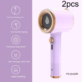 Mini Portable Handheld Garment Steamer Fabric Steam Iron For Clothes Travel Home Appliances Vertical US Plug Ironing Machine (Option: Light Purple-Us-2PCS)
